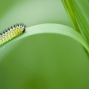 Personal Development