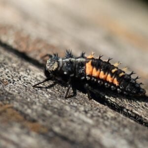 Personal Development