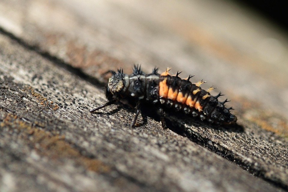 Personal Development