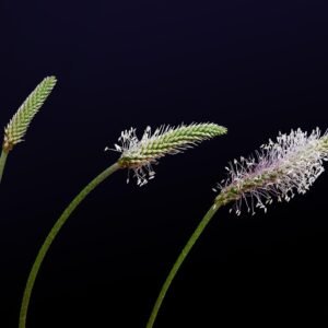 Personal Development