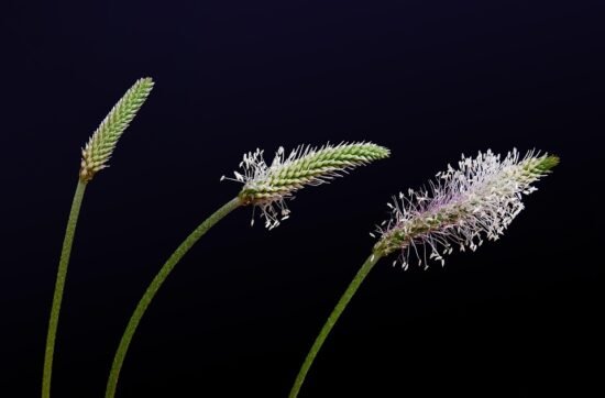 Personal Development