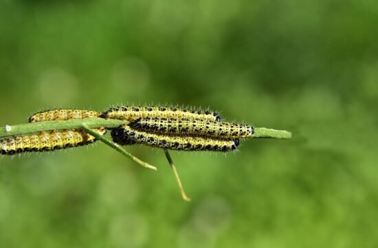 Personal Development