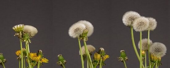 Personal Development