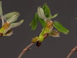 Personal Development