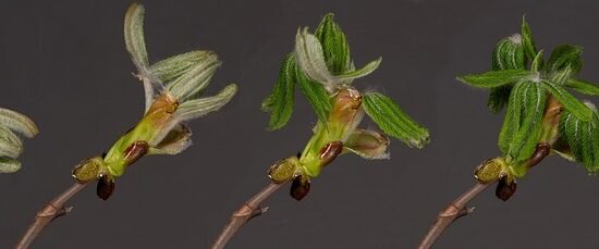 Personal Development