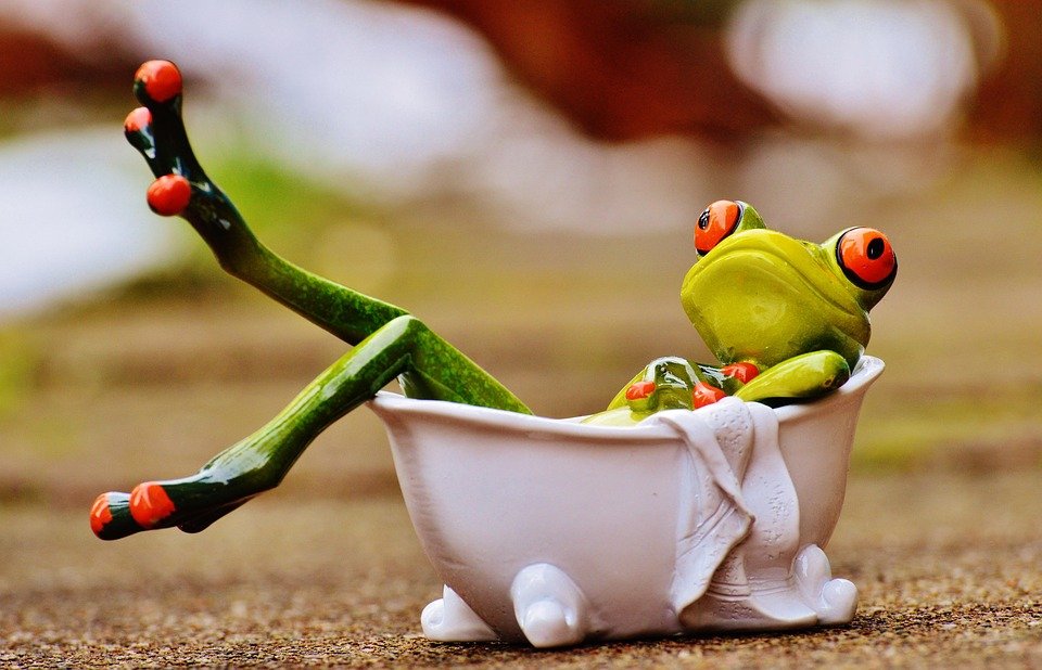 Personal Development