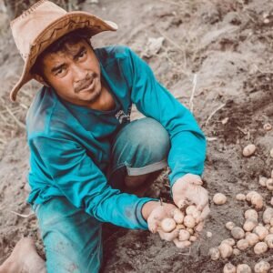 Personal Development