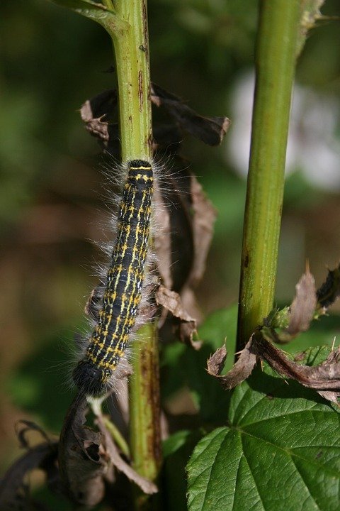 Personal Development