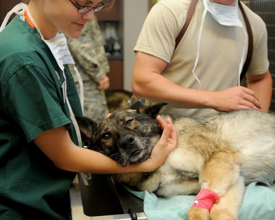 Trauma Healing