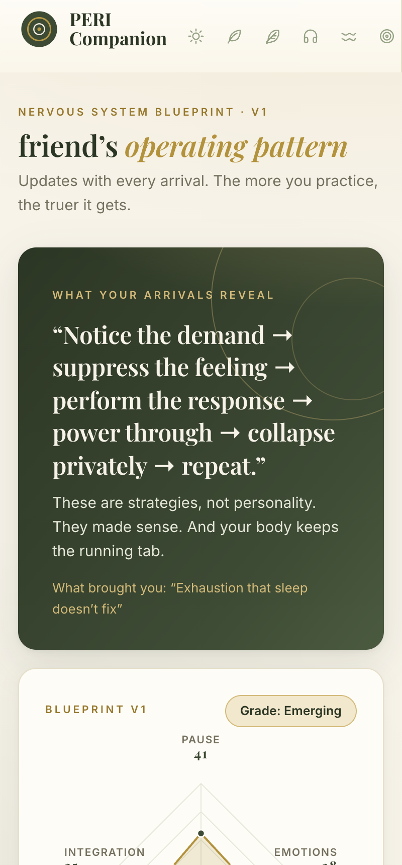 Nervous System Blueprint