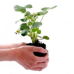 Personal Development