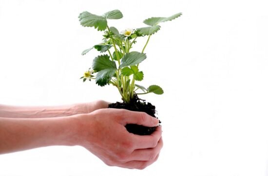 Personal Development