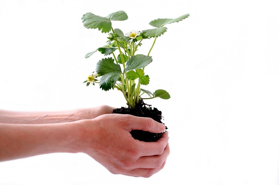 Personal Development